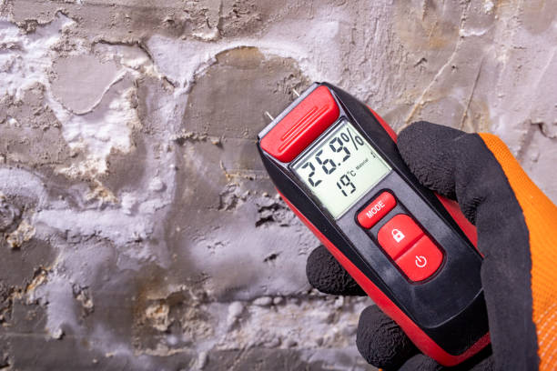 Best Mold Removal Company Near Me  in Middleport, OH