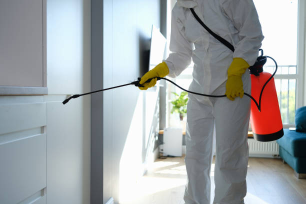 Mold Removal and Inspection in Middleport, OH