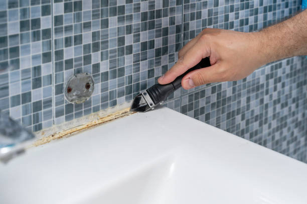 Best Local Mold Removal Service  in Middleport, OH